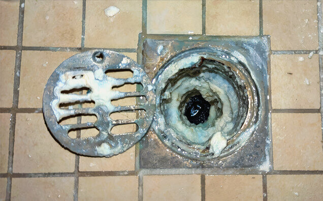 https://bayswaterblockeddrains.com.au/uploads/2025/07/blocked-shower-drains-33151.jpg