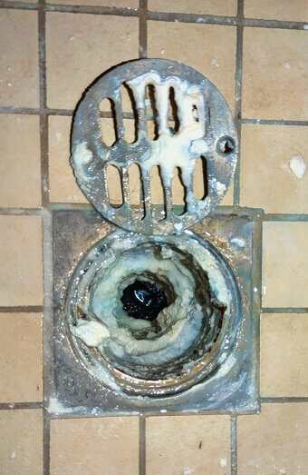 https://bayswaterblockeddrains.com.au/uploads/2025/07/blocked-shower-drains-86331.jpg