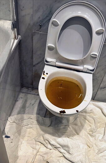 https://bayswaterblockeddrains.com.au/uploads/2025/07/blocked-toilet-27793.jpg