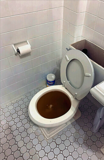 https://bayswaterblockeddrains.com.au/uploads/2025/07/blocked-toilet-42230.jpg